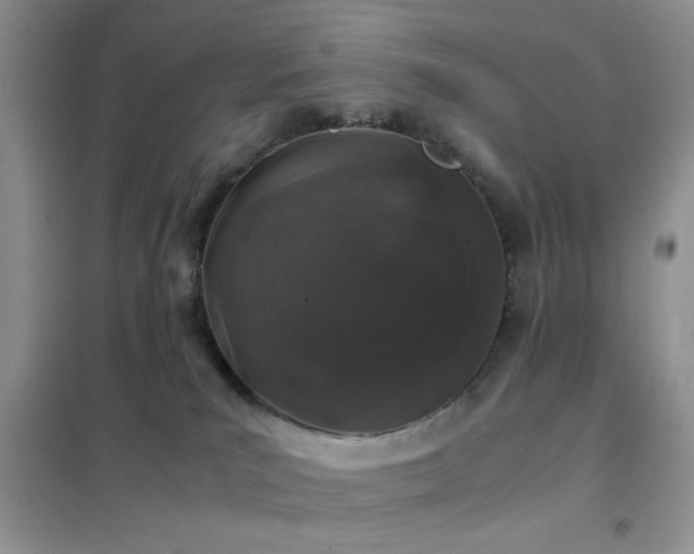 X0000102340039200808011151