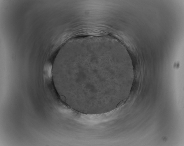 X0000102340041200808011151