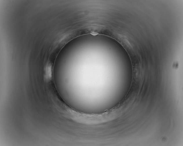 X0000102340042200808011151