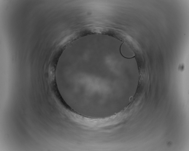 X0000102340043200808011151