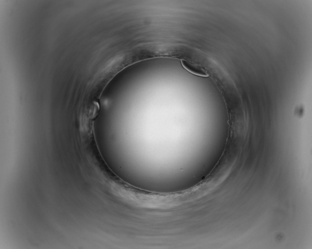 X0000102340044200808011151