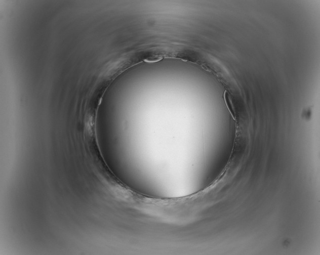 X0000102340045200808011151