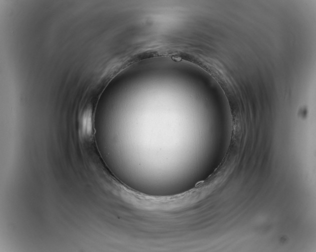 X0000102340046200808011151