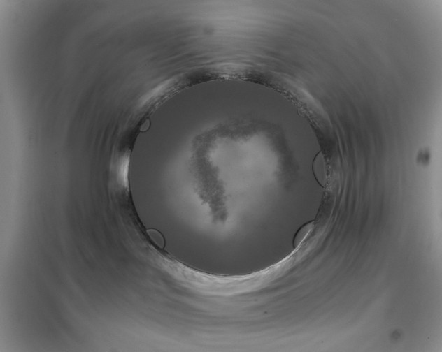 X0000102340047200808011151