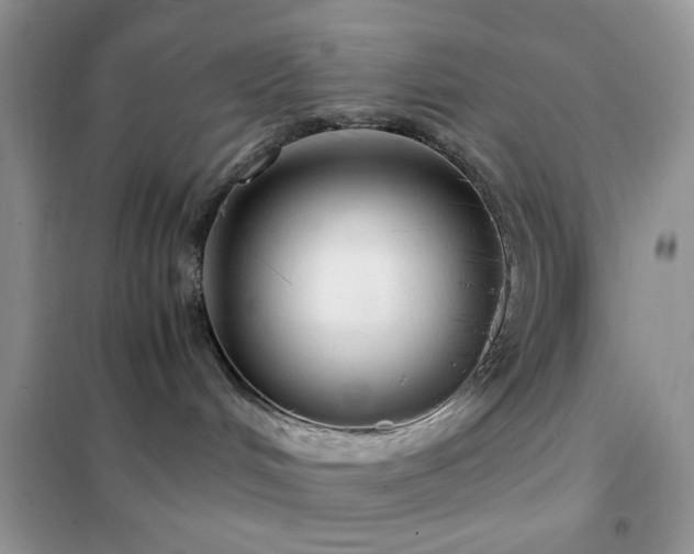 X0000102340048200808011151