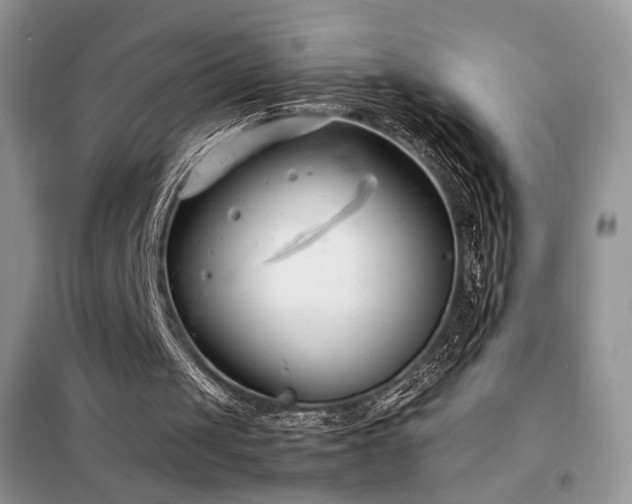 X0000102340049200808011150