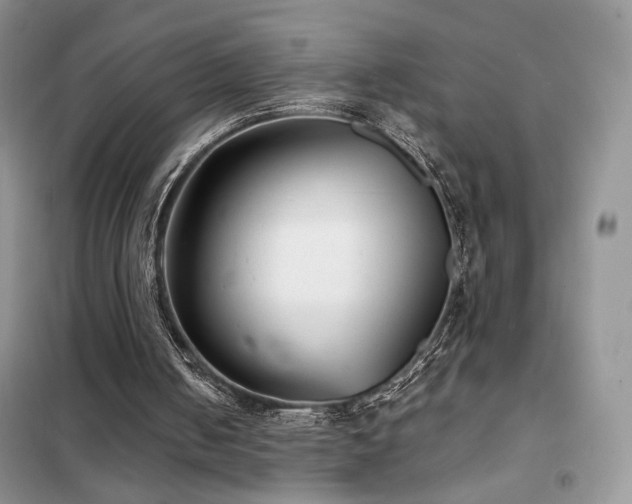 X0000102340050200808011150