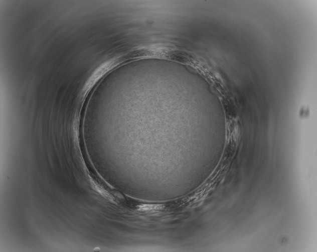 X0000102340051200808011150