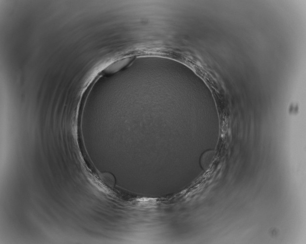 X0000102340052200808011150