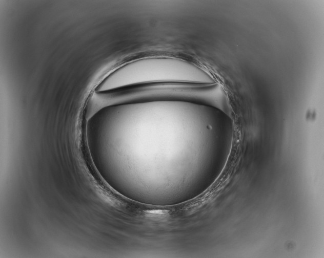 X0000102340053200808011150