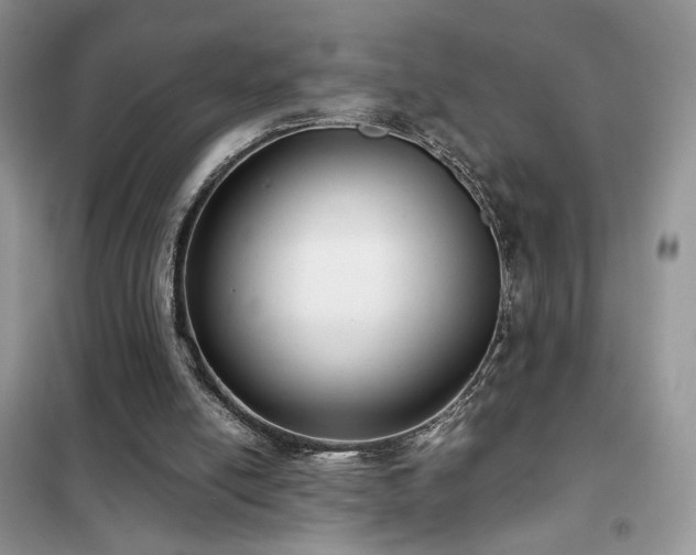 X0000102340054200808011150