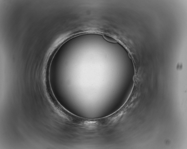 X0000102340055200808011150