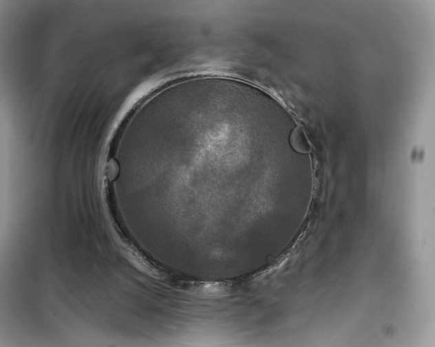 X0000102340056200808011150