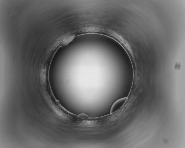 X0000102340057200808011150