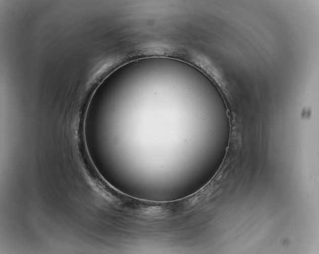 X0000102340058200808011150