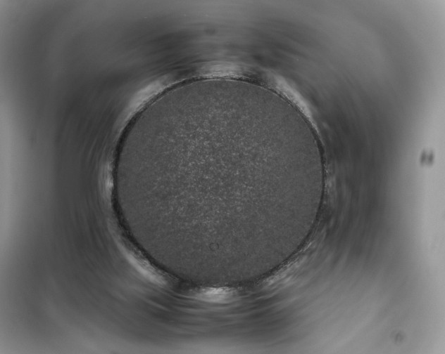 X0000102340059200808011150