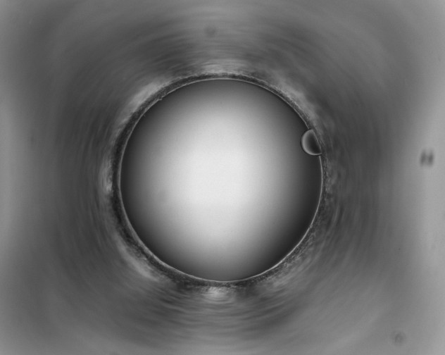 X0000102340060200808011150