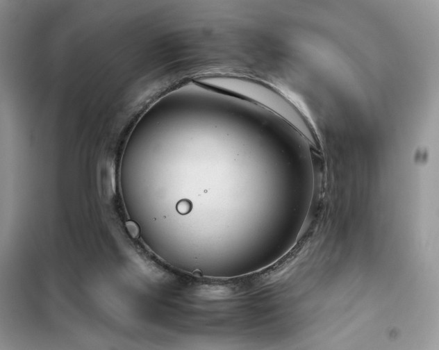 X0000102340061200808011150