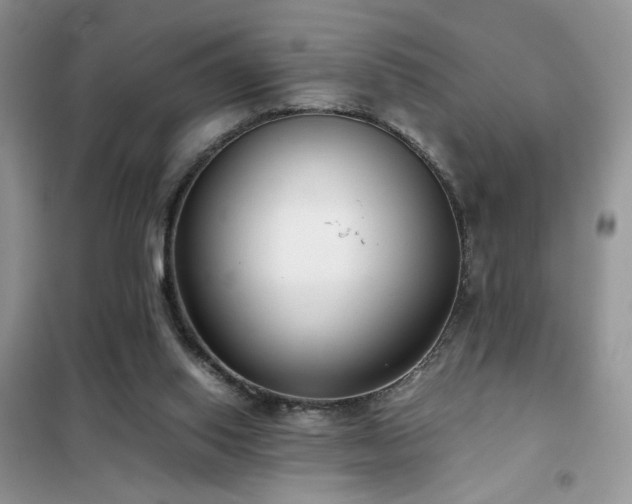 X0000102340062200808011150