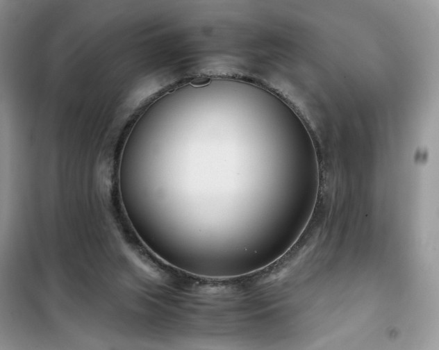 X0000102340063200808011150