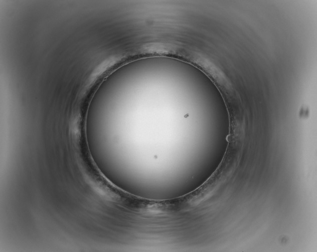 X0000102340064200808011150