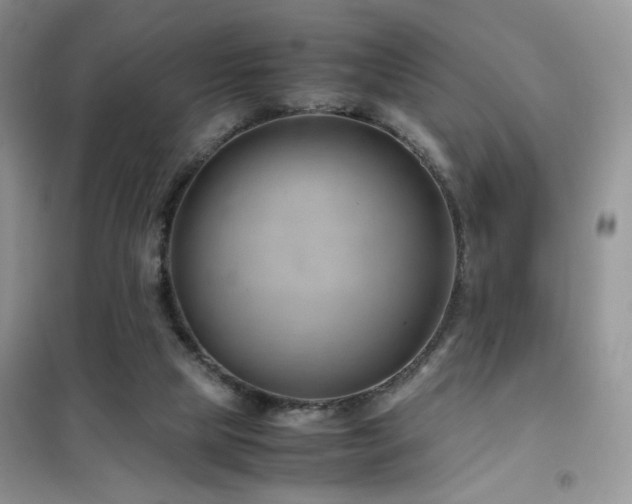 X0000102340065200808011150