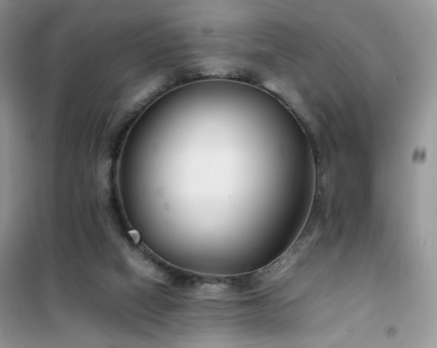 X0000102340066200808011150