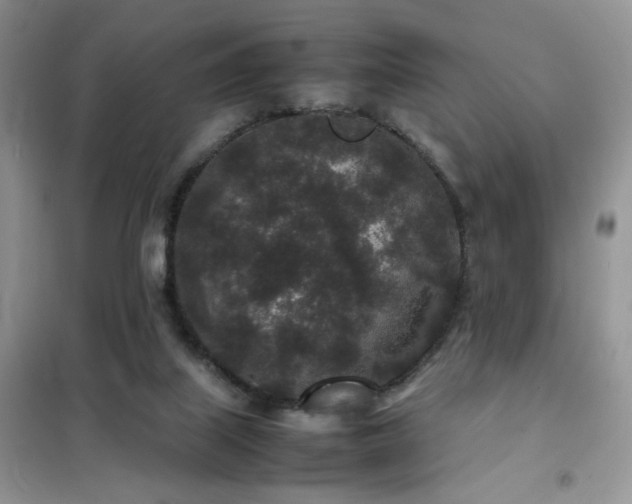 X0000102340067200808011150