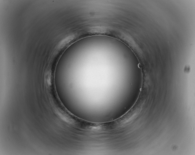 X0000102340068200808011150