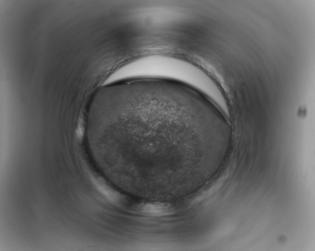 X0000102340069200808011150