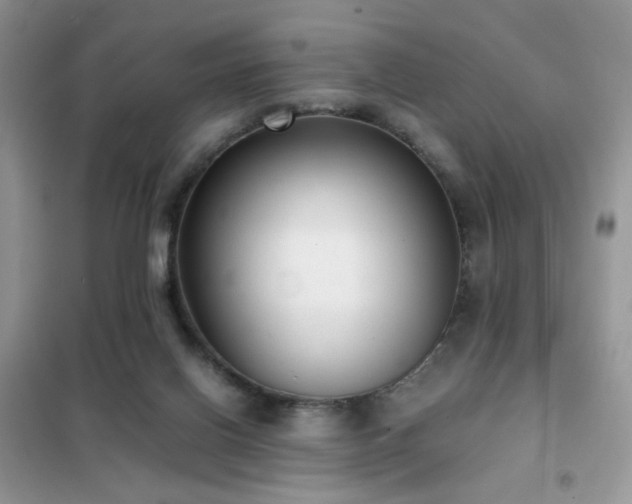 X0000102340070200808011150