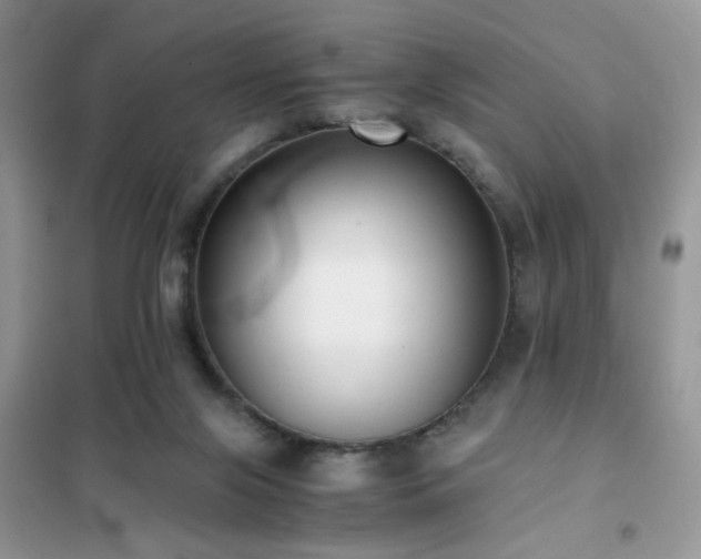 X0000102340071200808011150