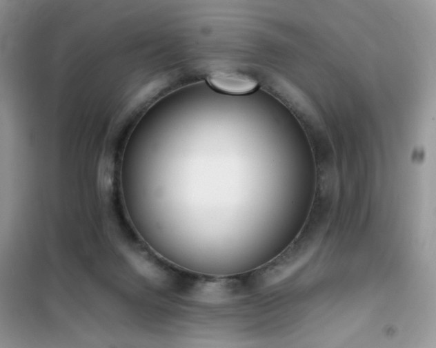 X0000102340072200808011150