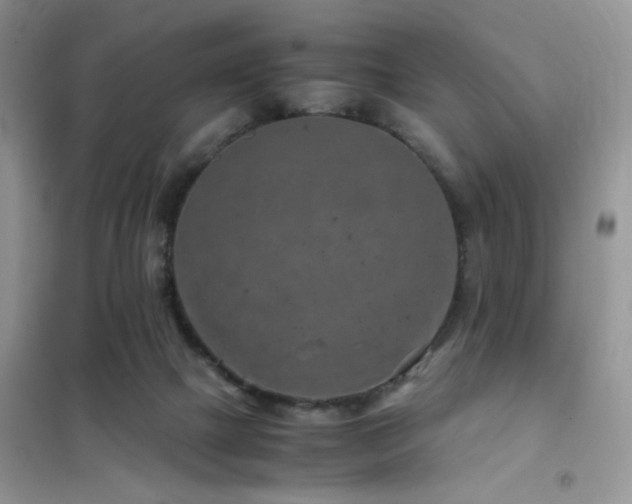 X0000102340073200808011150