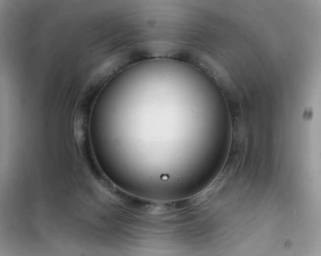 X0000102340074200808011150