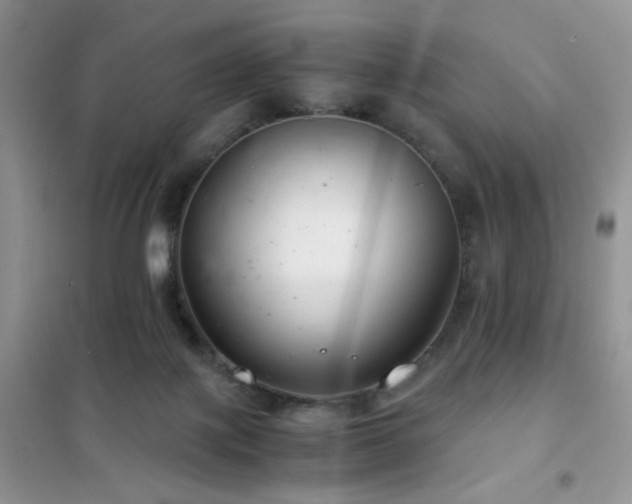 X0000102340075200808011150