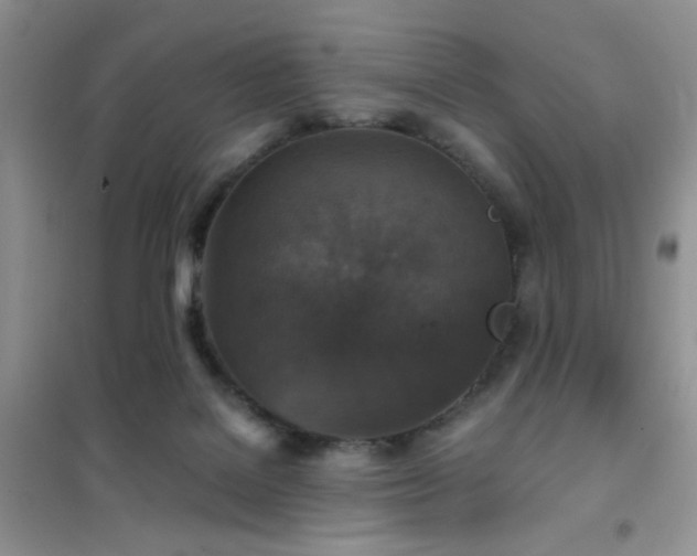 X0000102340076200808011150