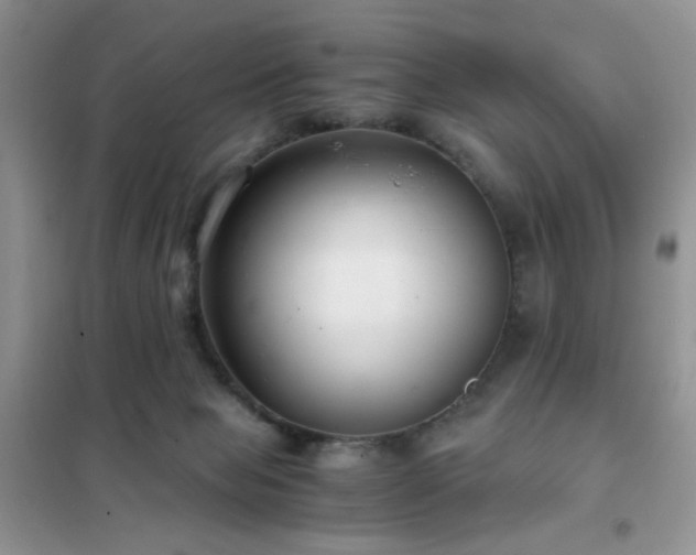 X0000102340077200808011150