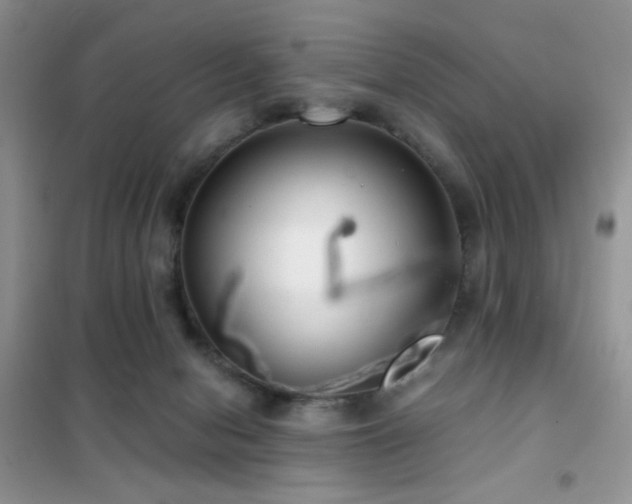 X0000102340078200808011150