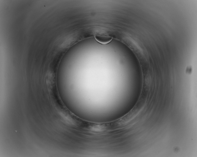 X0000102340079200808011151