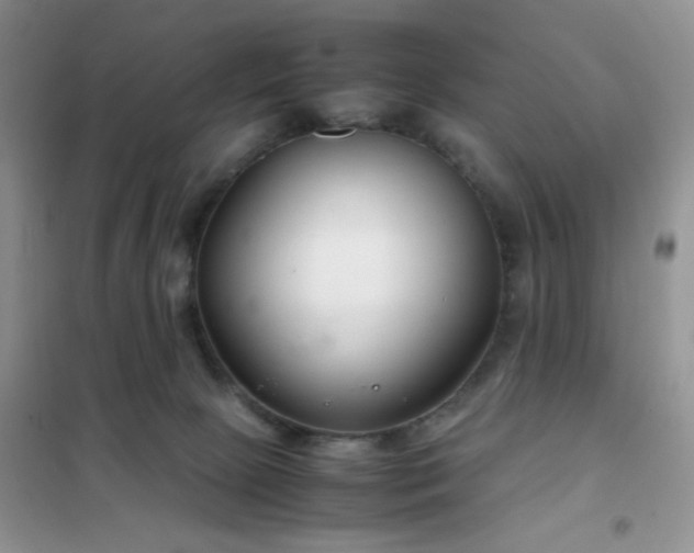 X0000102340081200808011151