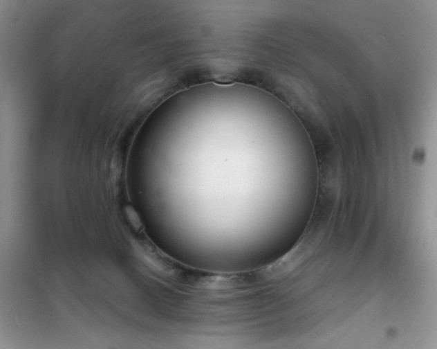 X0000102340082200808011151