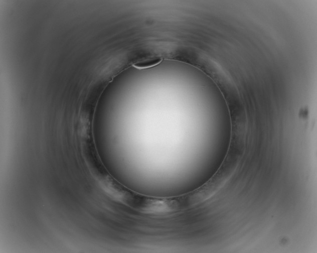 X0000102340083200808011151