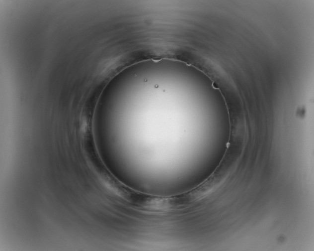 X0000102340084200808011151