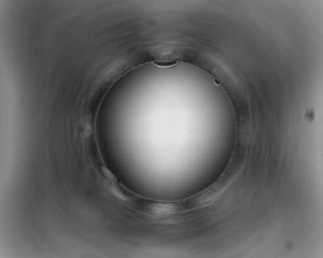 X0000102340085200808011151