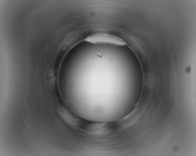 X0000102340086200808011151