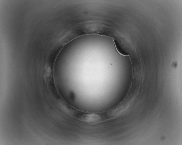 X0000102340087200808011151