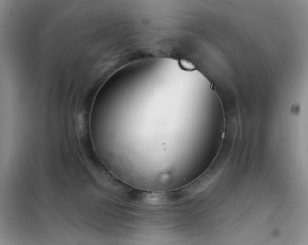 X0000102340088200808011151