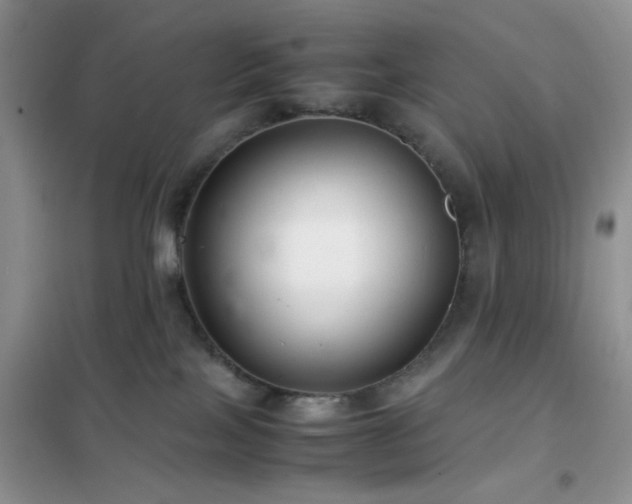 X0000102340089200808011151