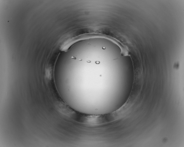 X0000102340090200808011151